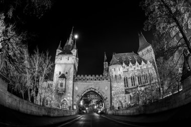 Budapeşte'de gece Castle