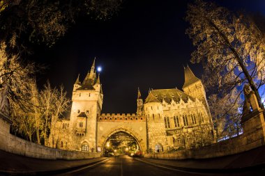 Güzel kale Budapeşte'ışıklı