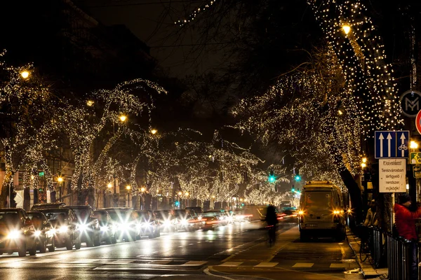 Christmas lights on a row of trees,