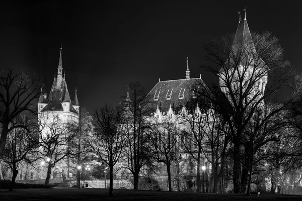 Castelo à noite em Budapeste — Fotografia de Stock