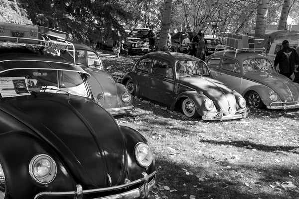 Salon des voitures anciennes — Photo
