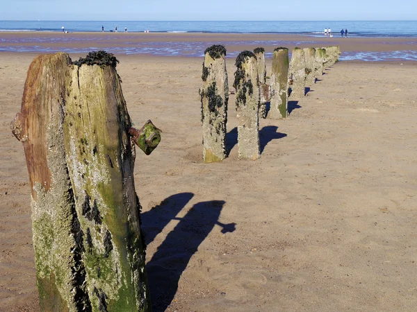 Spiaggia di sabbia pali di legno — Foto Stock