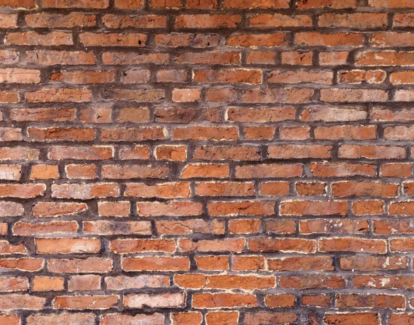 Fond de mur de briques — Photo