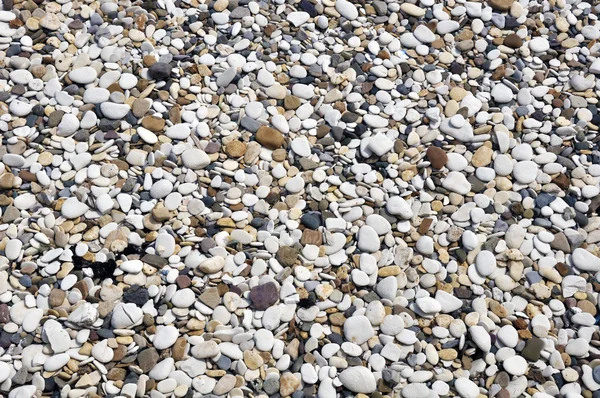 Smooth pebbles on beach — Stock Photo, Image
