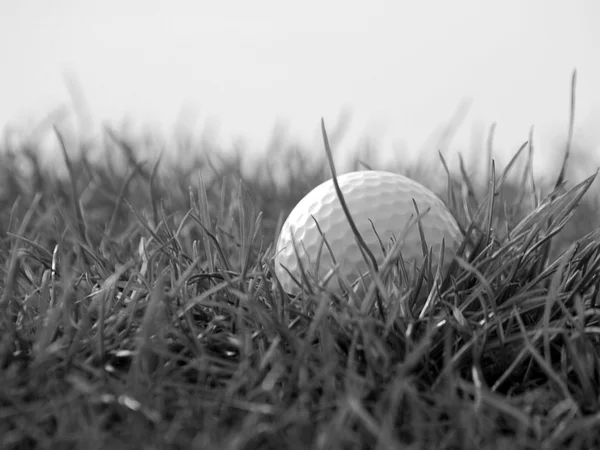 Boule de golf dans l'herbe — Photo