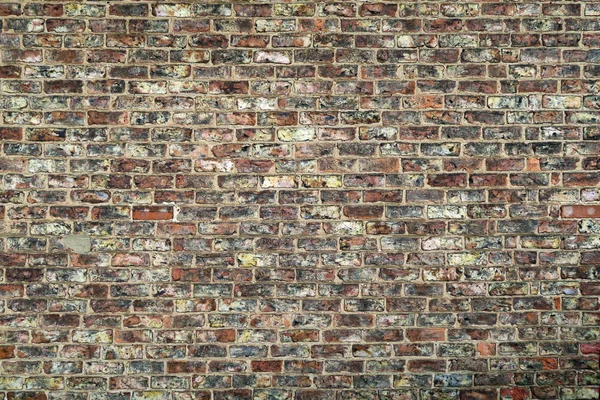 Modèle de mur de brique — Photo