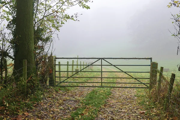 Farm track to foggy field — Stock Photo, Image