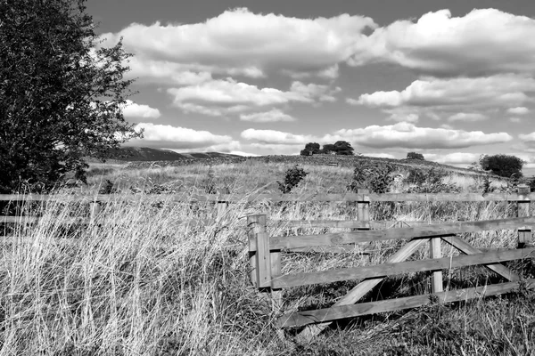 Black and white Rural scene — Stock Photo, Image