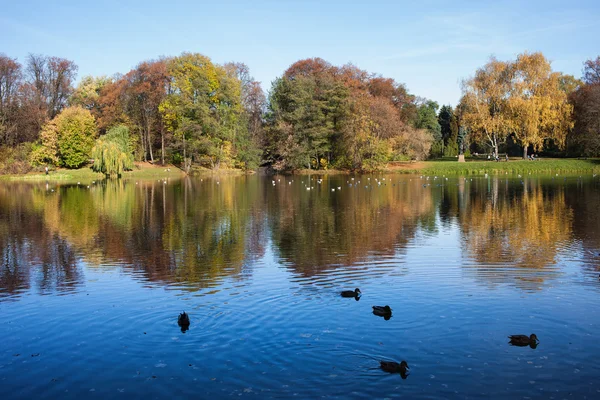 在华沙的 Skaryszewski 公园的秋天 — 图库照片