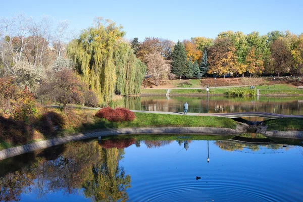 Sjöar och hösten bladverk i stadsparken — Stockfoto