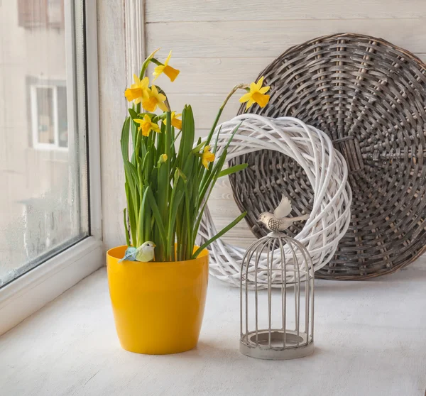 Decoratieve kooi en narcissen in pot — Stockfoto