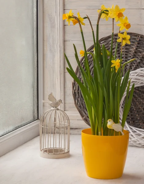 Daffodils near decorative bird and cage — Stock Photo, Image