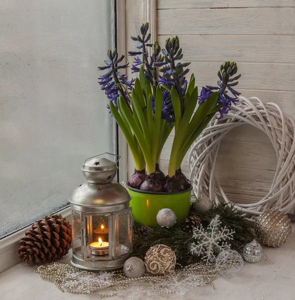 Hyacinten met Kerstmis speelgoed — Stockfoto