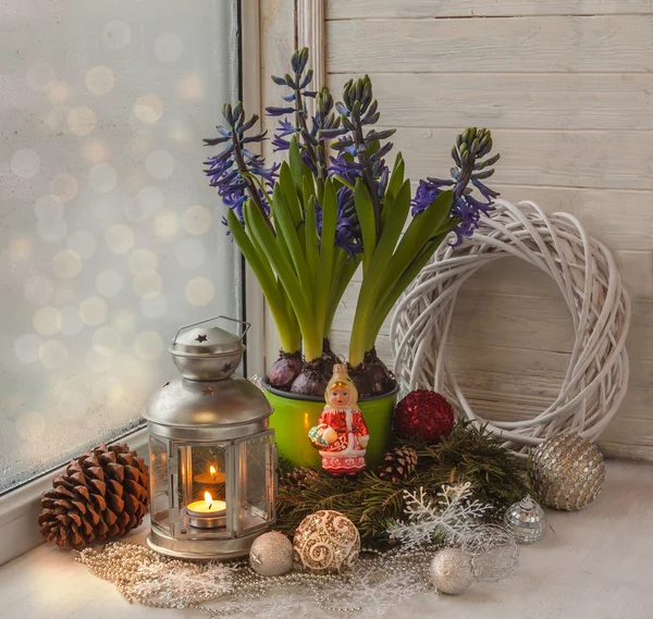 Jacintos com brinquedos de Natal — Fotografia de Stock