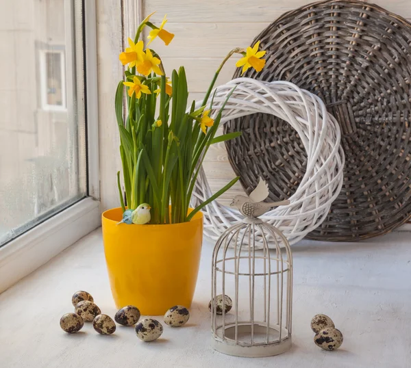 Gaiola decorativa e narcisos amarelos — Fotografia de Stock