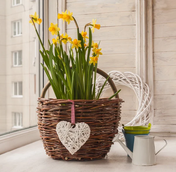 Daffodils in rural basket — Stock Photo, Image