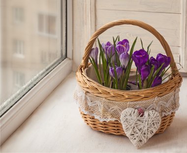 Sepette mor çiğdemler