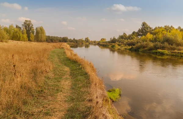 Невеликої річки Тетерів на Поліссі — стокове фото