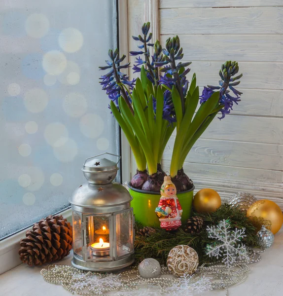 Hyazinthen mit Weihnachten Spielzeug — Stockfoto