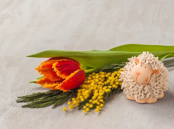 Mimosa, tulip franjada e estatueta de cordeiro — Fotografia de Stock