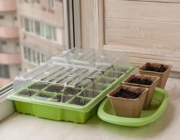 Greenhouse for seedlings and peat pots — Stock fotografie