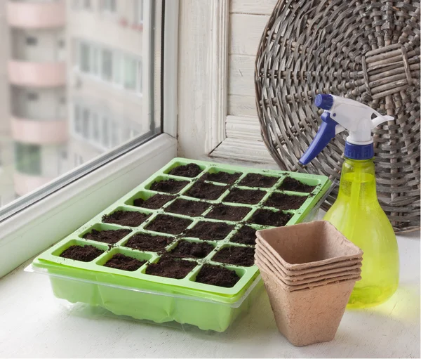 Greenhouse for seedlings and peat pots — Foto de Stock