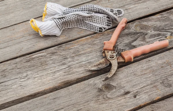 Garden pruner and gardening gloves — Stock Photo, Image