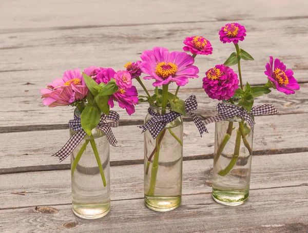 Glass vases with bouquets of zinnias — Stock Photo, Image