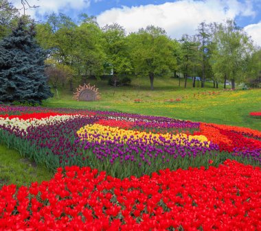 Peyzaj Park Kiev çiçek göster