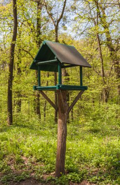 Botanik Bahçesi Alexandria, kuş Besleyici