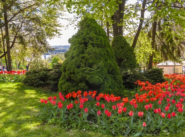 Květinová přehlídka v Landscape Park v Kyjevě — Stock fotografie