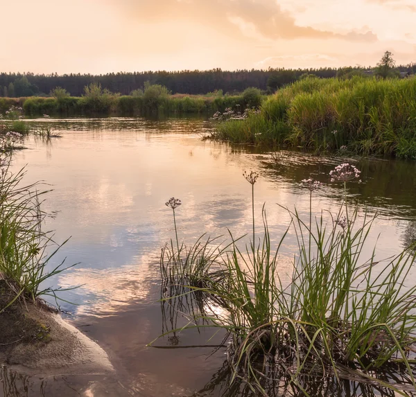 Zonsondergang op de rivier de Teterev — Stockfoto