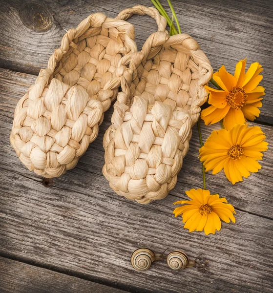 Escargots de jardins et des chaussures de bast — Photo