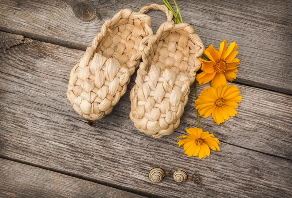 Caracóis de jardim e sapatos bast — Fotografia de Stock