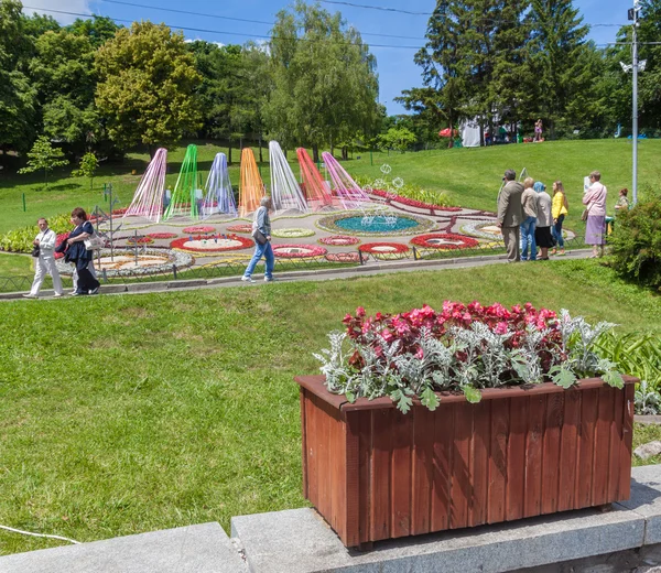 Blomma Visa landscape park i kiev. — Stockfoto