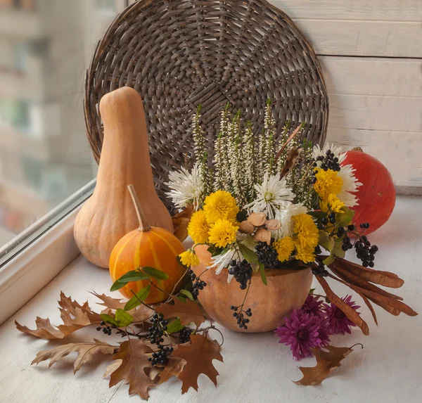 Diseño otoño con calabaza — Foto de Stock