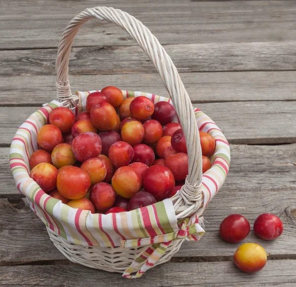 Basket filled with multiple red plums — Stock Photo, Image