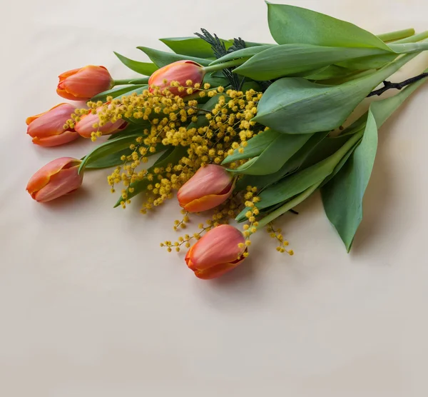 Tulips and mimosa on yellow — Stock Photo, Image