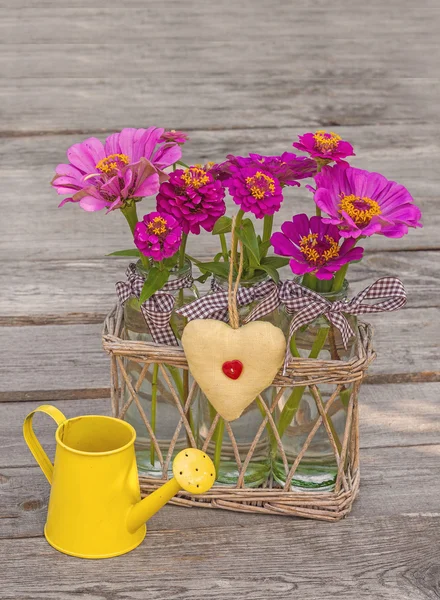 Bouquet of pink zinnias — Stock Photo, Image