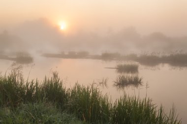 Foggy sunrise on small river clipart