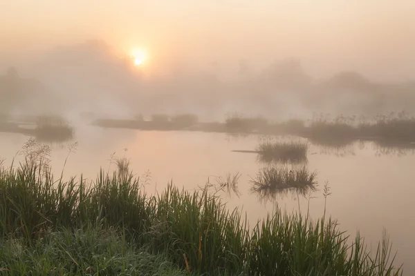 Foggy lever de soleil sur une petite rivière — Photo