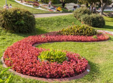 Çiçek Sergisi kompozisyonu