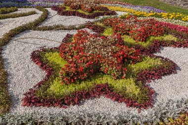 Çiçek Sergisi kompozisyonu