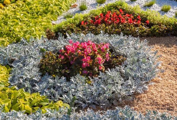 Flower Show Landscape Park — Stock Photo, Image