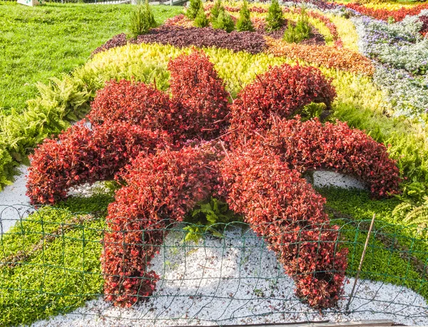 Parque de Paisaje Flower Show — Foto de Stock