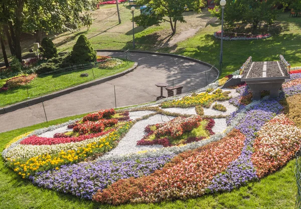 Composición sobre exposición de flores — Foto de Stock