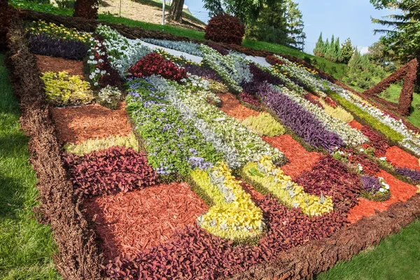การประกอบในนิทรรศการดอกไม้ — ภาพถ่ายสต็อก