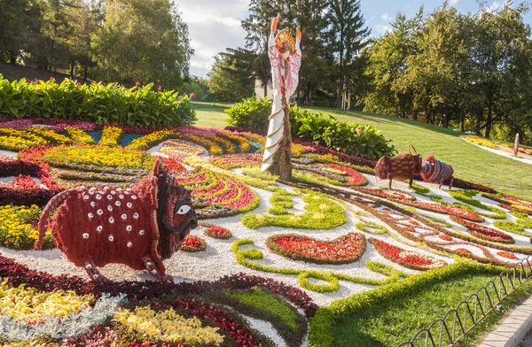 Flower exhibition in Kyiv — Stock Photo, Image