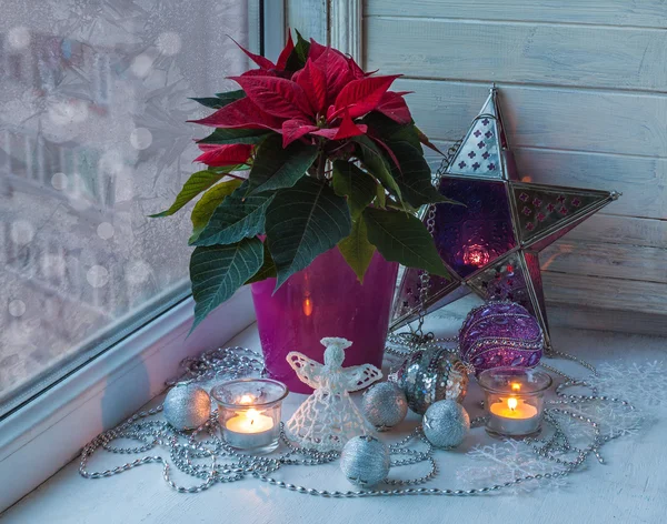 Mikulásvirág, és karácsonyi díszek — Stock Fotó