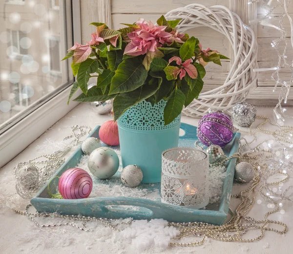 Poinsettia and Christmas decorations — Stock Photo, Image